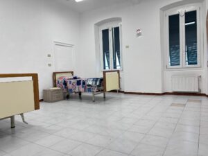 Il delfino 6