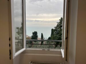 Il delfino vista